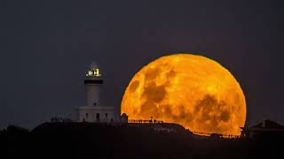 Scorpio's Flower Moon
