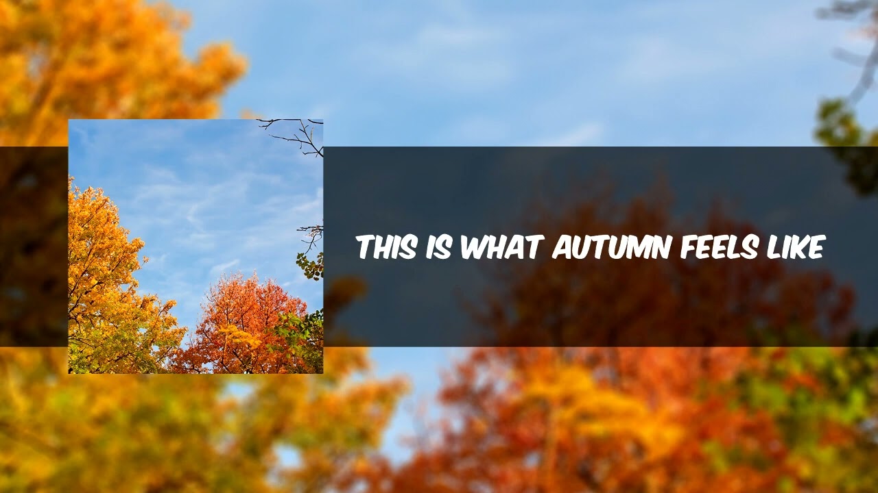 this is what a cover of autumn feels like...