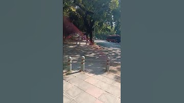 Ignou Solved Assignment MST 3 2018-19