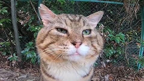 Crystal pvp ft.Future and other cheats