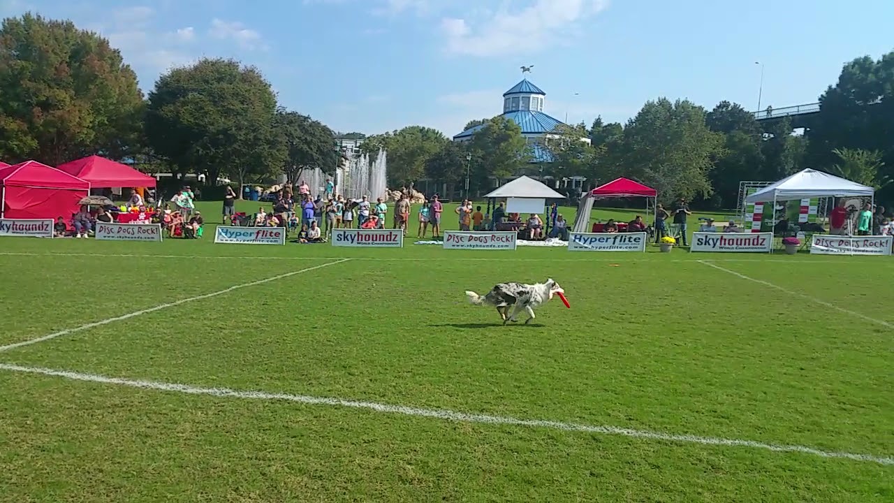 Salsa Skyhoundz Worlds Freestyle 2021