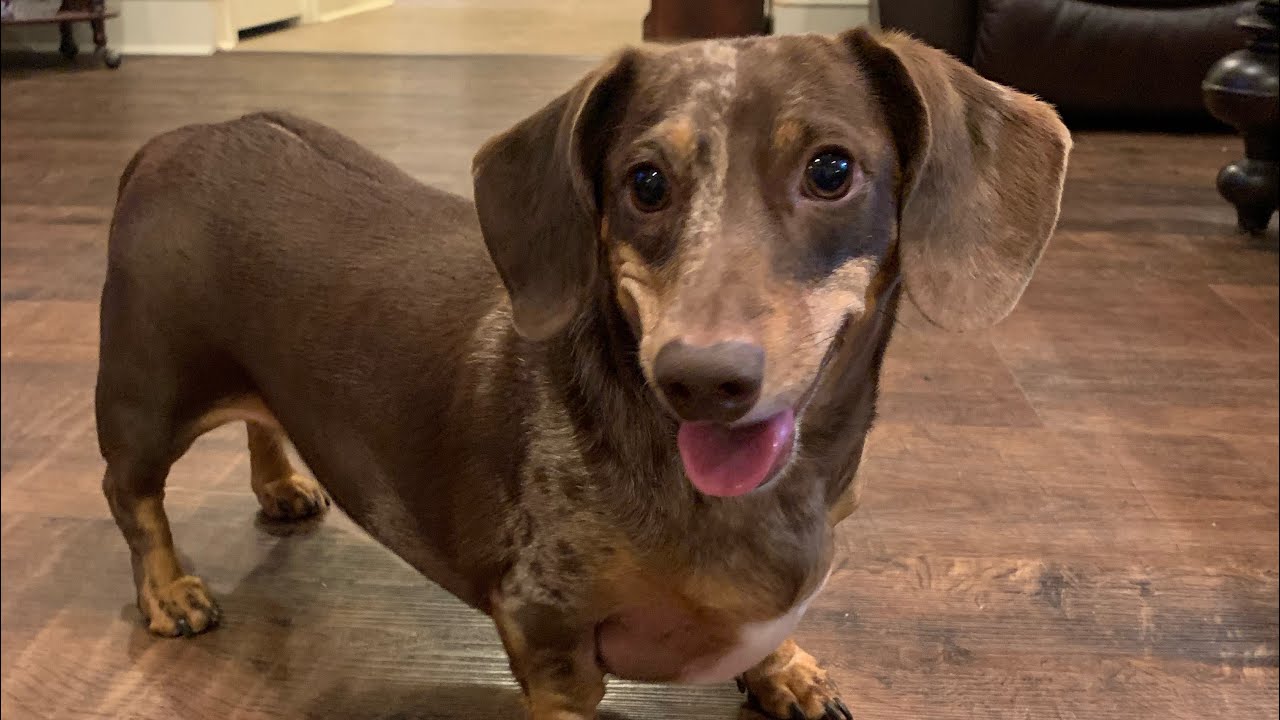 Подарки для всех!