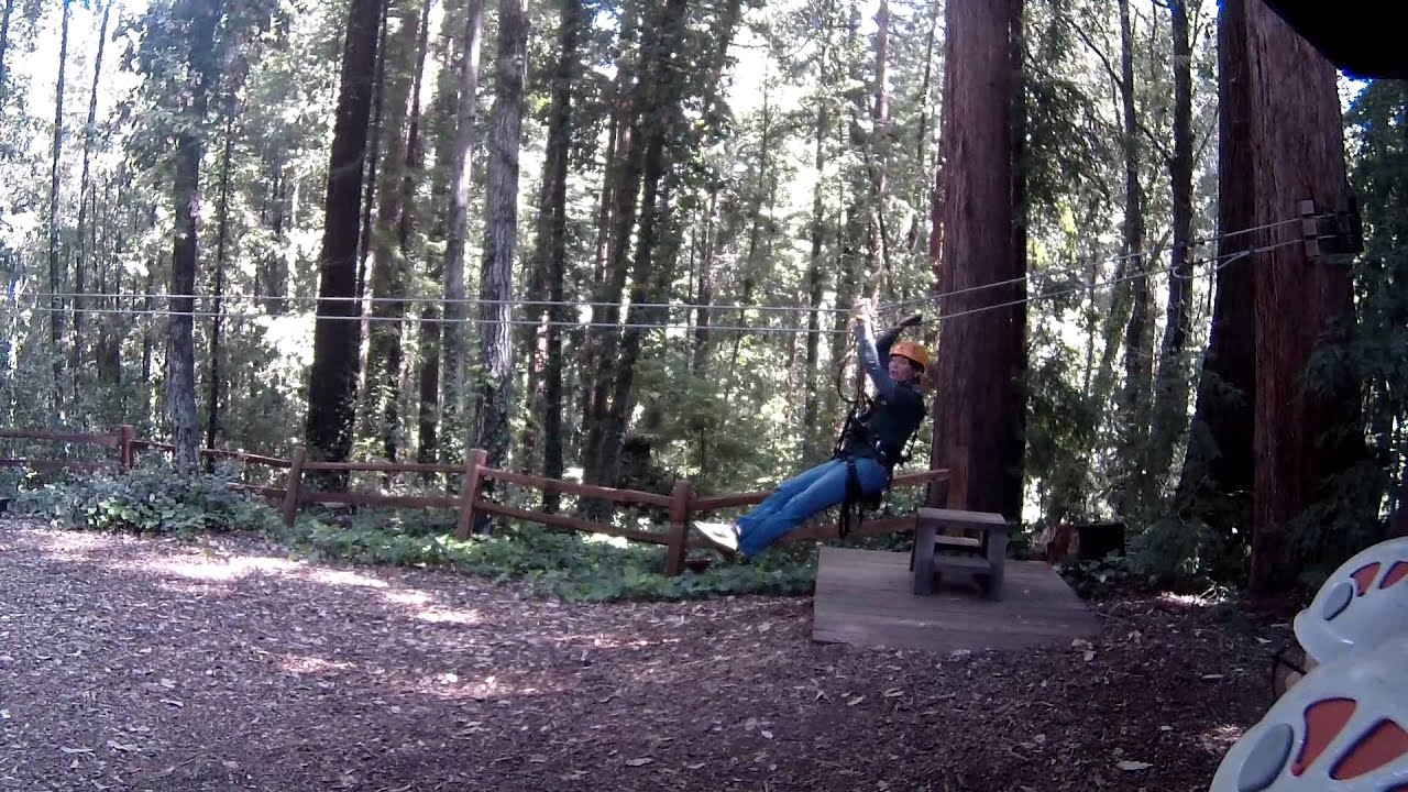 Redwood Canopy Tour