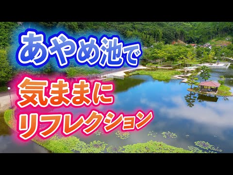 あやめ池で 気ままにリフレクション！