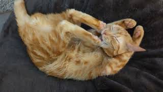 Buddy What Are You Doing