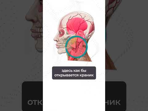 Всего ОДНО простое упражнение от отеков под глазами! #отеки #лечение #здоровье