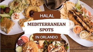 Where to find delicious halal Mediterranean food in Orlando