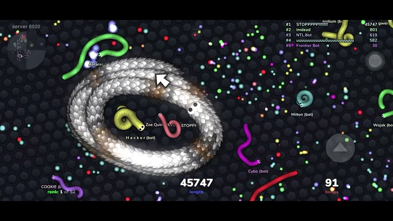 I served myself 2 dishes of delicious bot food!🤤😋