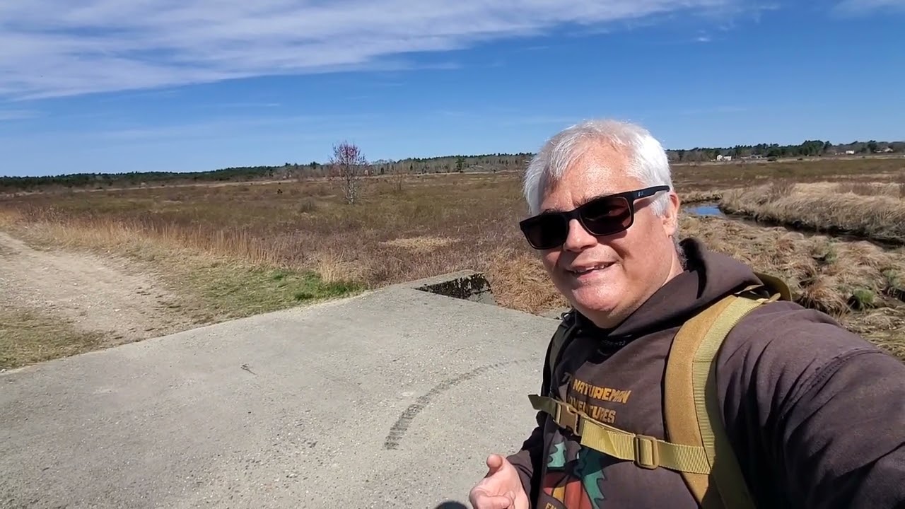 Forgotten to Flourishing: A Stunning Nature Wonderland! 