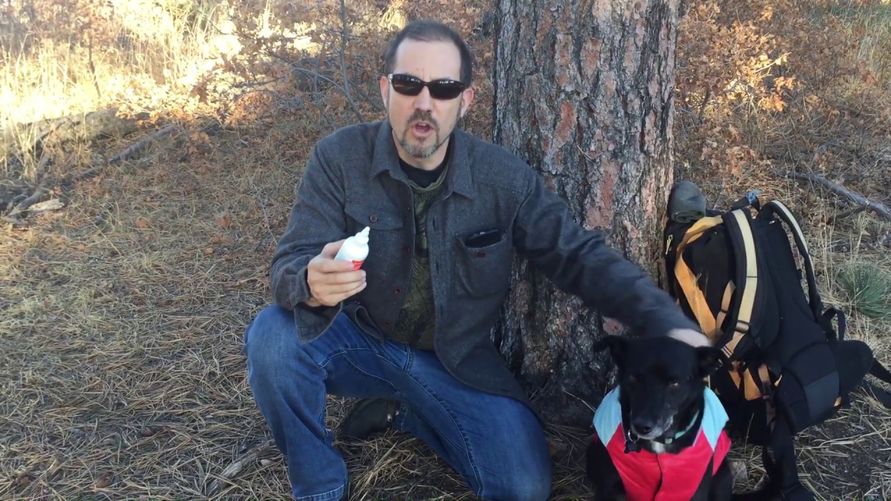 BLDG ACTIVE Skin Repair review