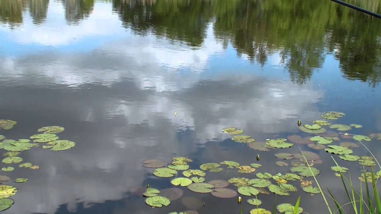 Angeln auf Karausche u Schleie