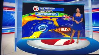 WSVN 7 News Today in Florida at 9am open July 29 2026