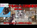 猫ミームでわかる「てるみくらぶ破産劇」：激安ツアーが地獄ツアーに