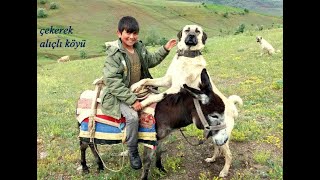 TURFAN ALTAŞ BU DÜNYADA YAŞIYORUM OLDUĞUMDAN HABERİM YOK