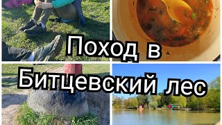 Родник в лесу весенний лес в Москве Битцевский лесопарк