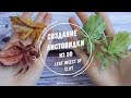     leaf insect tutorial