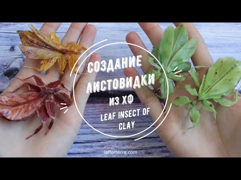 СОЗДАНИЕ ЛИСТОВИДКИ - ВИДЕОУРОК/ Leaf insect tutorial