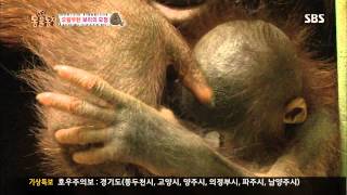 [TV동물농장] 20130717 #5(4)