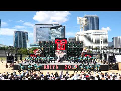 第20回こいや祭り　京都よさこい連心粋　メイン