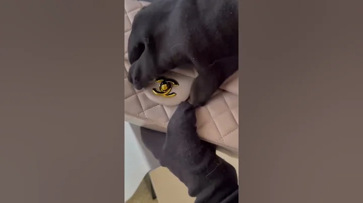 Luxury Bag Unboxing & Review | Trending Designer Fashion 2025 #fashion #viralfashion