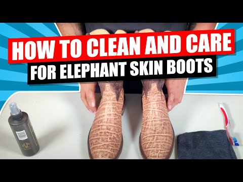 How To Clean Condition And Care For Elephant Skin Boots