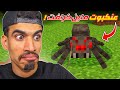 اصبح عندي عنكبوت ماين كرافت