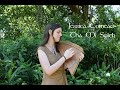 Jessica comeau tha mi sgith dulcimers  angel wing harp celticfairy song