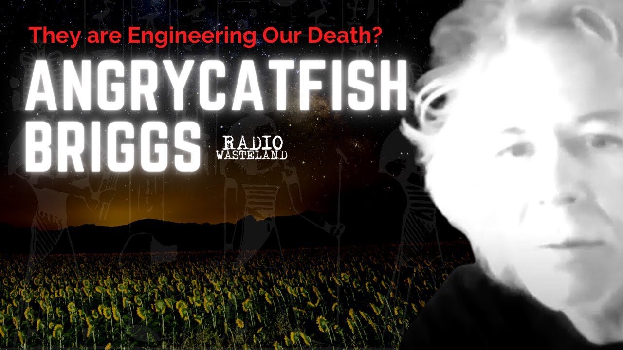 They are engineering our death angry catfish briggs youtube