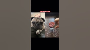 Reacting to random objects #shorts