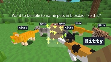 How to name your pets in bloxd.io