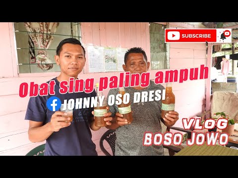 Obat sing paling ampuh gawean seko pak Johnny Oso Dresi - Vlog Jowo Songko Suriname