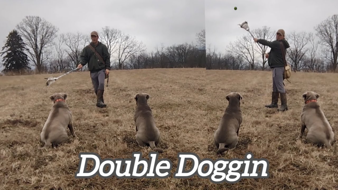 Double Dogging! With Hunter