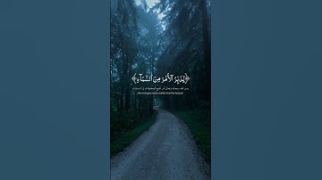 اللَّهُ الَّذِي خَلَقَ السَّمَاوَاتِ وَالْأَرْضَ وَمَا بَيْنَهُمَا فِي سِتَّةِ |سورة السجده