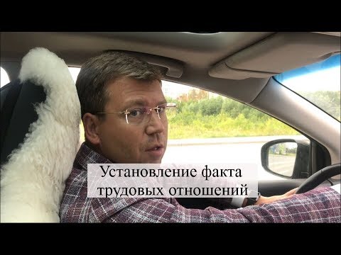 Установление факта трудовых отношений: трудовые споры, суд, помощь адвоката
