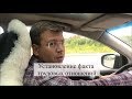 Установление факта трудовых отношений: трудовые споры, суд, помощь адвоката