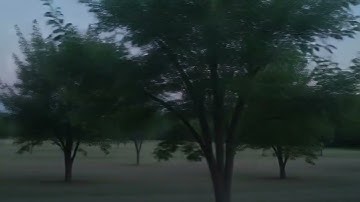 ai artwork video 488492e6 f069 4003 a9ad ffa3ec184945 online video cutter com