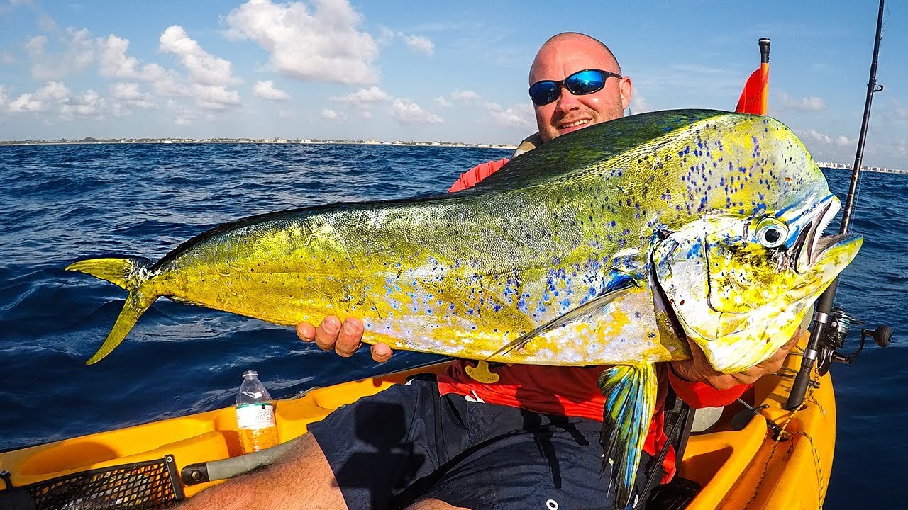 Offshore Kayak Fishing DEEP BLUE Kayak Fishing Charters South