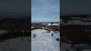 20230218 134449 - Tara