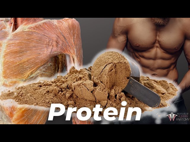 How Much Protein You Really Need (According to Science) class=