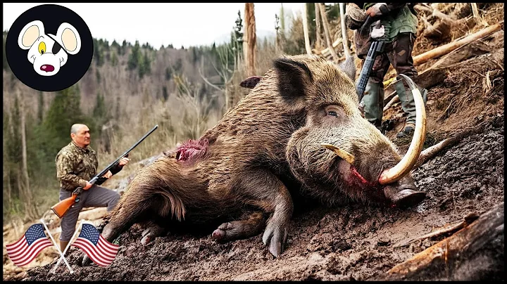 Hunted To Extinction ? How Hunters Took Down 9 Million Wild Boars | Wild Boar Hunting