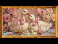 4K Dreamy Cute Pink Ducks & Bows 🎀 TV Art Screensaver 🦢 Frame TV Art (Nature Sounds)