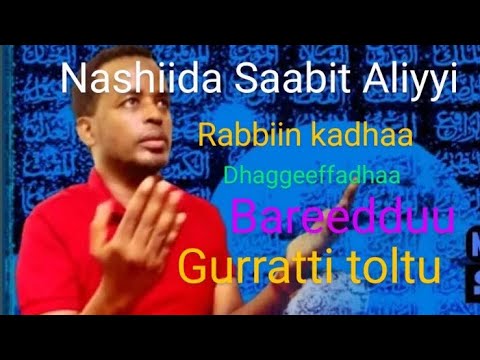 Nashiidaa Saabit Aliyyi sitti male waanimadhuu kan jedhu