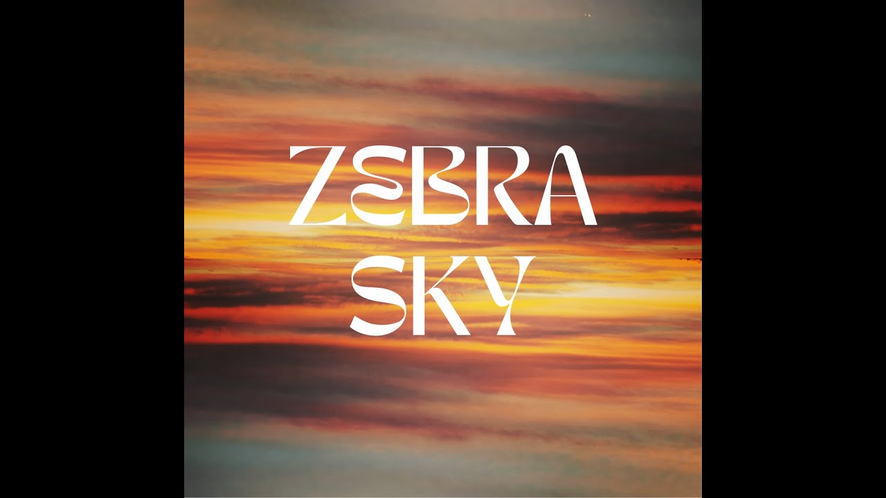 Silver Mystery - Zebra Sky (live session)