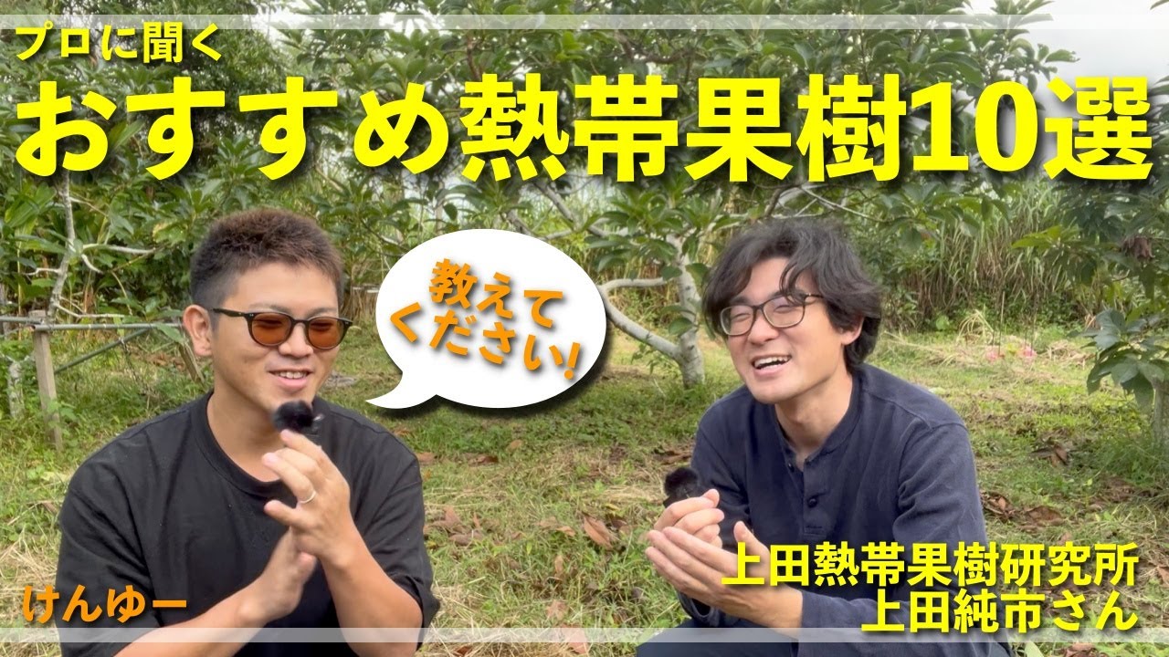 大注目！】おすすめ熱帯果樹10選！上田熱帯果樹研究所の純市さんに