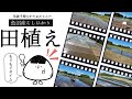 田んぼで笹団子をモグモグする片岡さん。