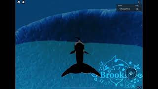 What is it like to be an orca in SW roblox games? Now u know