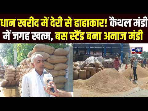Farmer News: धान खरीद में देरी.. Kaithal अनाज मंडी में जगह नहीं, पूंडरी Bus Stand बना अनाज मंडी!