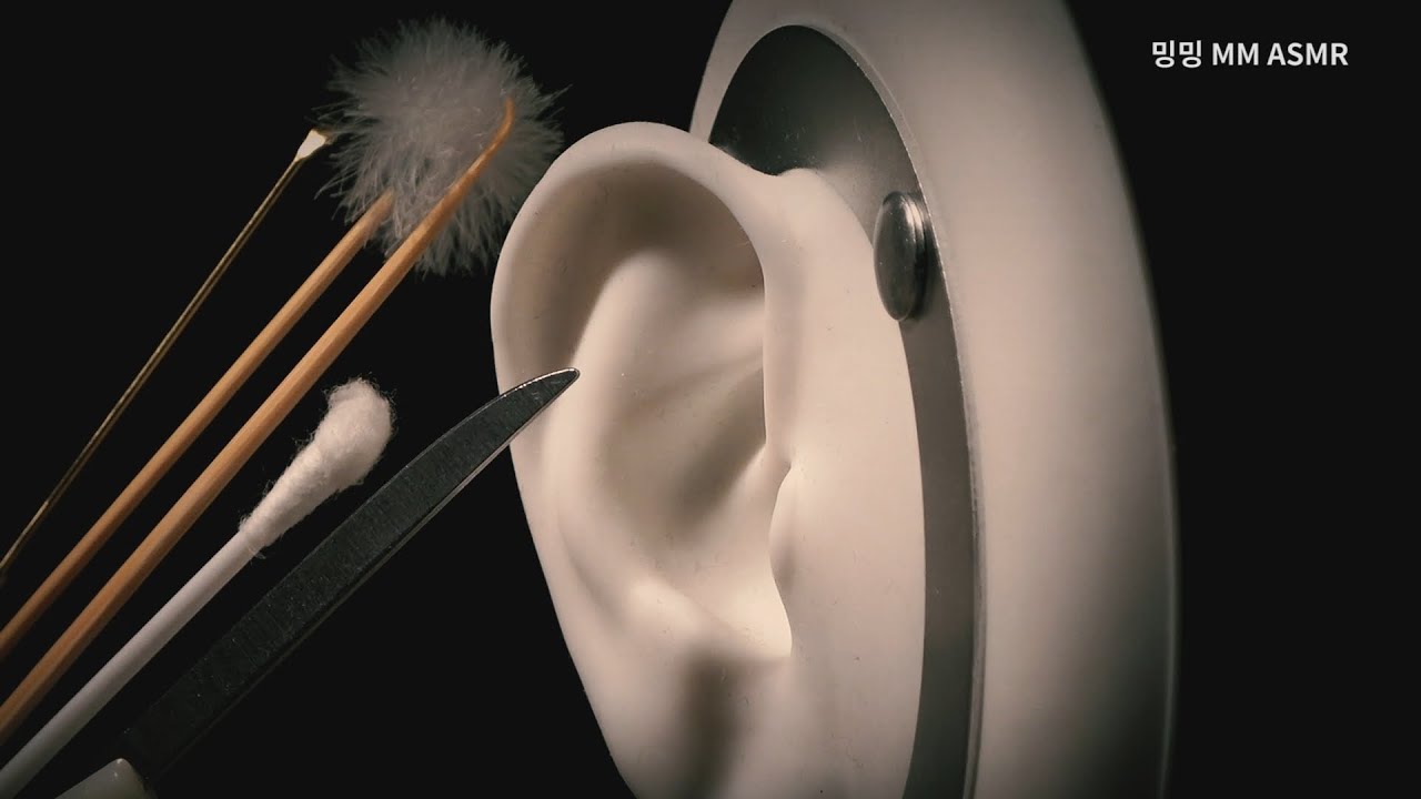 [ASMR] 5가지 도구로 살살 귀청소/ Ear Cleaning with 5 tools/ No Talking