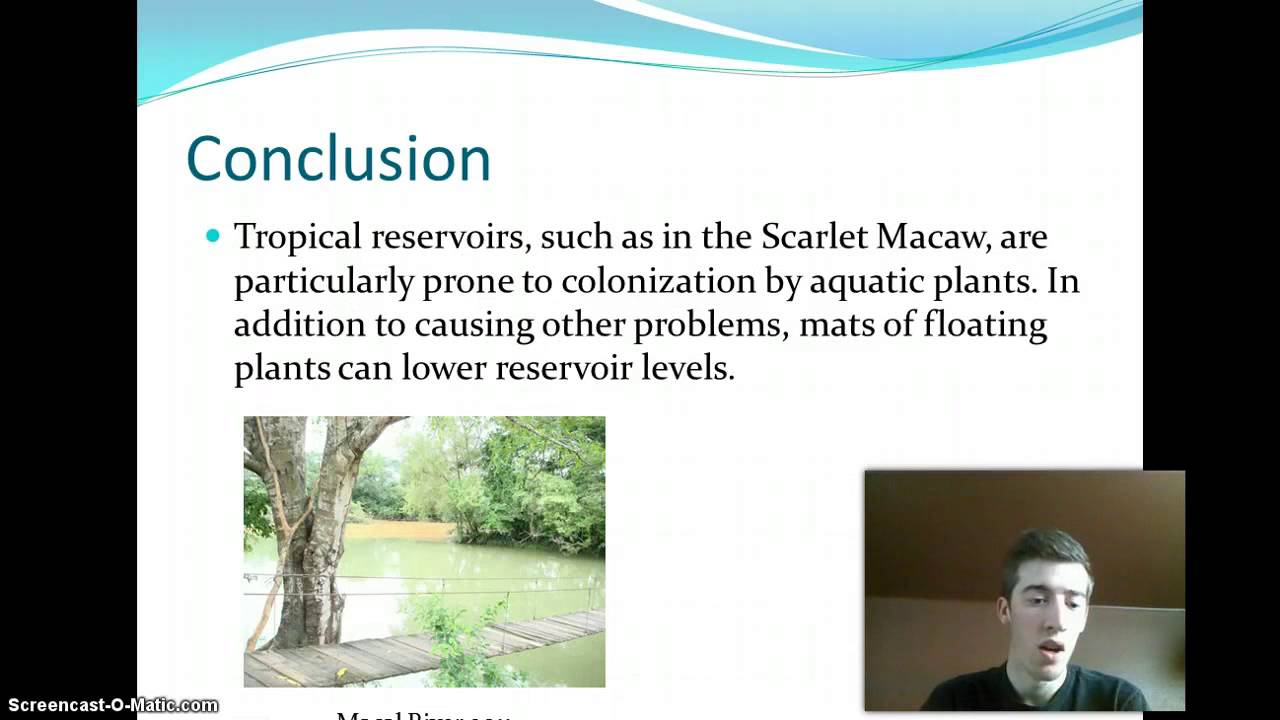 Water Pollution Conclusion UF 300 - YouTube