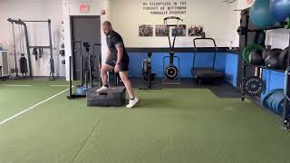 SL Depth Drop to Lateral Bound W/Bilateral Landing